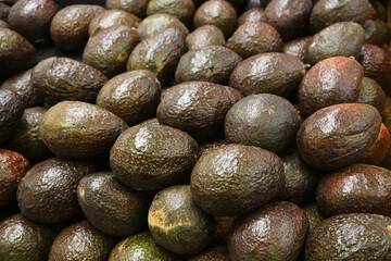 close up on brown avocado arranged for sale