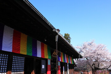 日本・埼玉の春