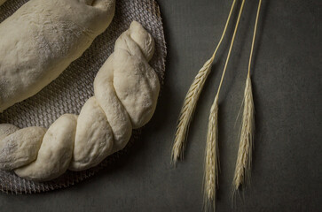 Sourdough bread fermenting, gray background