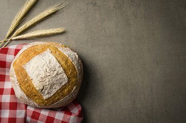 Beautiful Sourdough bread on gray background with dried wheat flower