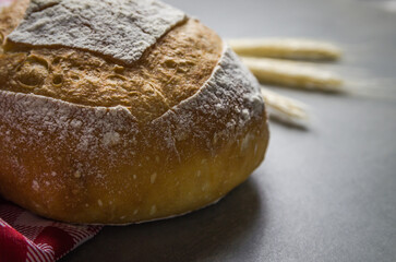 Beautiful Sourdough bread on gray background with dried wheat flower