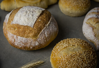 Beautiful Sourdough bread on gray background with dried wheat flower