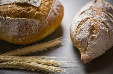 Beautiful Sourdough bread on gray background with dried wheat flower