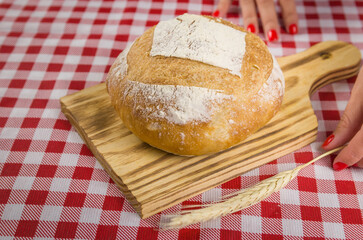 Beautiful Sourdough bread being held by woman's hands.