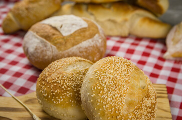 Beautiful Sourdough bread being held by woman's hands.