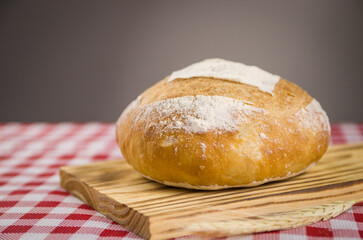 Beautiful Sourdough bread being held by woman's hands.