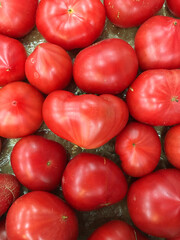 真っ赤なトマト　道の駅に並ぶ箱入りの新鮮トマトBright red tomatoes Boxed fresh tomatoes lined up at the roadside station
