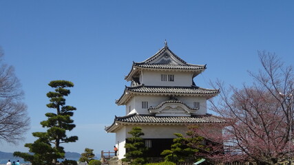 香川県に現存する天守を持つ丸亀城と桜
Marugame Castle and cherry blossoms with existing castle tower in Kagawa Prefecture