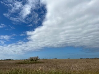 Obraz premium clouds over the field
