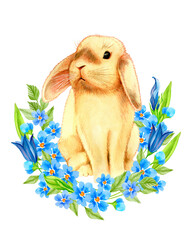 Cute bunny with flowers. Watercolor illustration for your design. Perfect for Happy Easter, Birthday, Spring, Mother's Day
