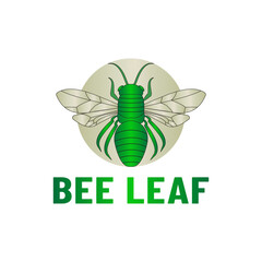 Green abstract bee logo outline in circle, simple and modern