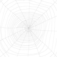 Obraz premium Toile d’araignée 