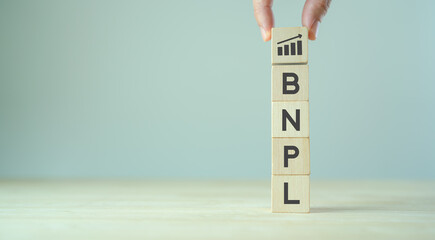 Buy now pay later BNPL online shopping concept. Online shopping, internet retail and e-commerce....