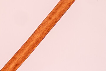 Characteristics of Hair cell of human under microscope view for education in laboratory.
