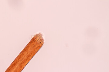 Characteristics of Hair cell of human under microscope view for education in laboratory.
