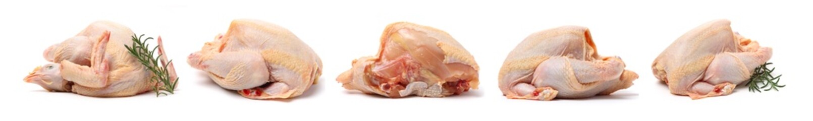 Raw fresh chicken isolated on white background  © zcy