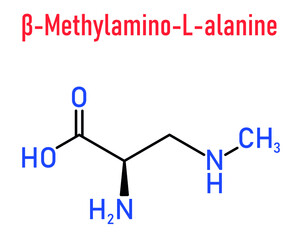 beta-Methylamino-L-alanine (BMAA) toxic amino acid molecule. Produced by cyanobacteria. Skeletal formula.