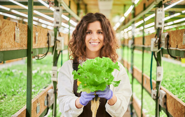 Joyful female gardener looking at camera and smiling while holding green leafy plant lettuce. Young woman in garden gloves standing in aisle between shelves with seedlings in greenhouse.