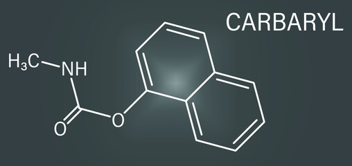 Carbaryl (carbaril) insecticide molecule (carbamate class). Skeletal formula.