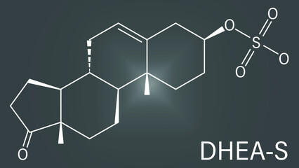 Dehydroepiandrosterone sulfate (DHEA-S) natural hormone molecule. Skeletal formula.
