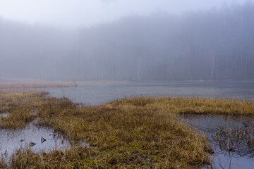 深い霧がかかる晩秋の池