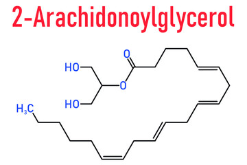 2-Arachidonoylglycerol (2-AG) endocannabinoid neurotransmitter molecule. Skeletal formula.