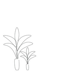 Plants in pots on white background vector illustration