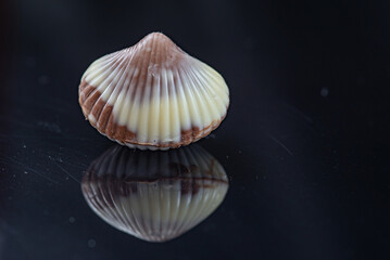 Figures of Belgian chocolate on a dark background.