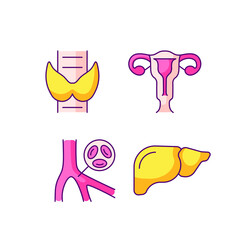 color icons, thyroid gland, uterus, blood vessels, liver