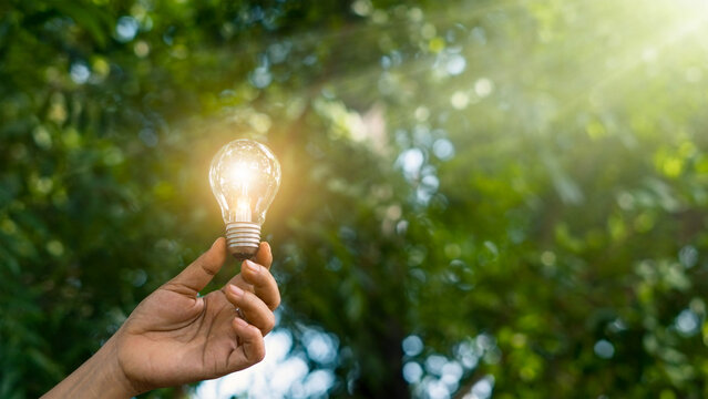 .Hand holding light bulb bright light on green nature background,  Ecology, Earth day, energy for renewable, sustainable development, Energy saving, Environment and energy concep
