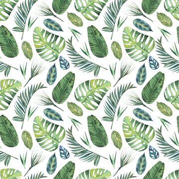 Tropical seamless pattern with hand drawn watercolor leaves. Background with tropical leaves of palm trees, monsters and banana. Tropical illustration for fashionable fabric, tropical prints, decor