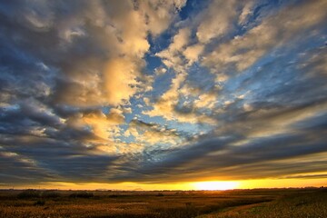 sunset over the field