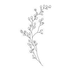 Botanical Line Art Vector Illustration for Prins, Social Media, Icons. Floral Trendy Template Minimalist Style. Abstract Leaves Branch Line Art Hand Drawn Doodle Template.