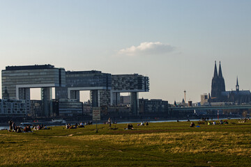 Obraz premium Aussicht auf Köln mit Blick über dem Rhein den Poller Wiesen,- den Kranhäusern und dem Dom