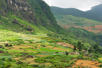 Fototapeta premium Valley with vegetable fields in tropical mountains