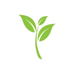 Green leaf logo