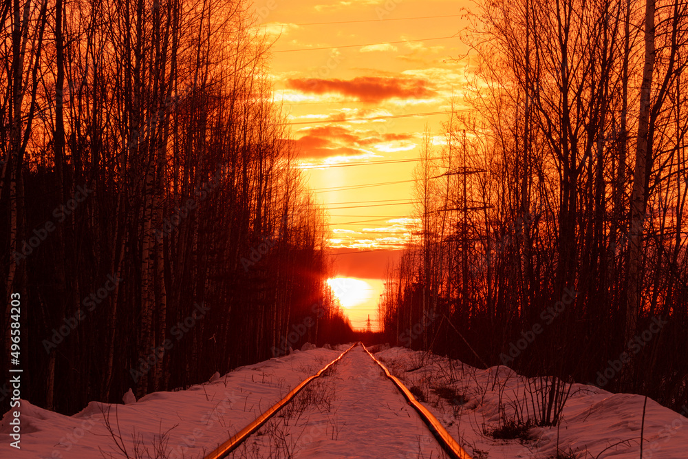 Wall mural beautiful vivid colorful and bright winter landscape of old neglected railway among forest trees wit