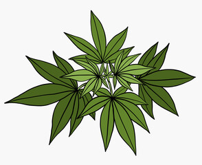 Simplicity cannabis plant freehand drawing flat design.