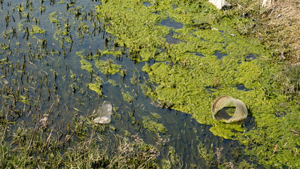 Non-recyclable plastic bottle on the surface of a dirty pond. Concept of plastic pollution, climate change and environmental conservation. Micro plastic polluted waters in Europe.