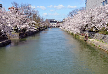 Okazaki Canal in Kyoto City, Japan