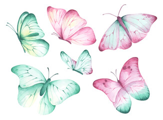 Set of beautiful butterfly. Isolated on white background. Watercolor illustration.