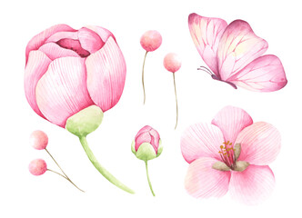 Set of Floral. Isolated on white background. Watercolor illustration.