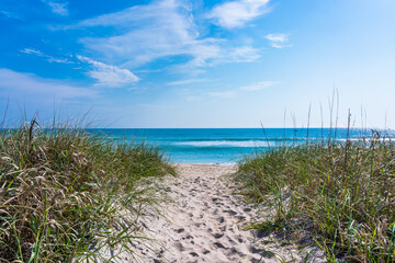 Sandy footpath through the dunes to the Atlantic Ocean in Florida. Beautiful blue-green ocean on the horizon.