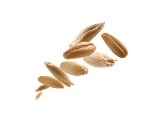 Oat grains levitate on a white background