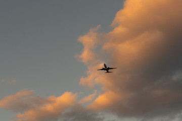 Airplane in the sky at sunrise or sunset