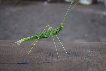 Heuschrecke aus Blättern