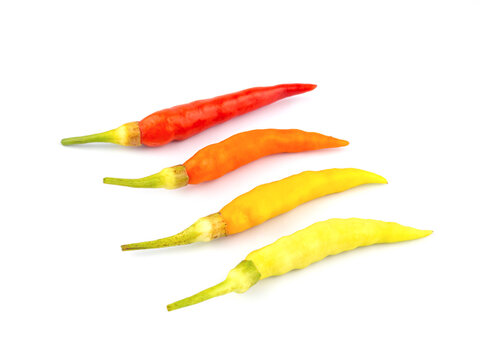 fresh chili peppers in gradation of ripeness on white background. fresh chili peppers with clipping path. © Jitti