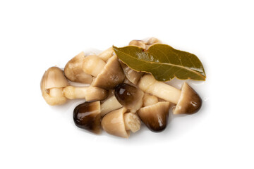 Pickled Straw Mushrooms Isolated