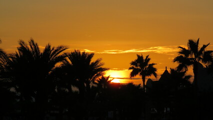 Obraz premium Sunset