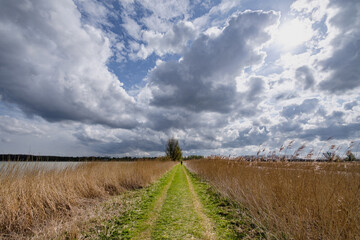 Lepelaarsplassen, Flevoland province, The Netherlands